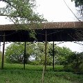 Pig Farm